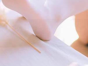 不呆猫的泳衣日常：私房美图让人忍不住想要更多！