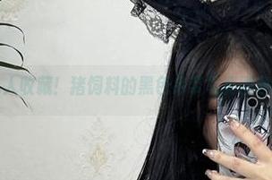 微密圈 - 私人收藏！猪饲料的黑色吊带写真图包，得意忘形