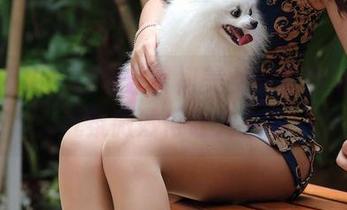 魔镜街拍：白色包臀裙美女的全套写真，气氛微妙得让人心痒